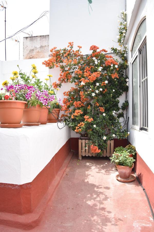 Veedor 12 Apartamento Cádis Exterior foto