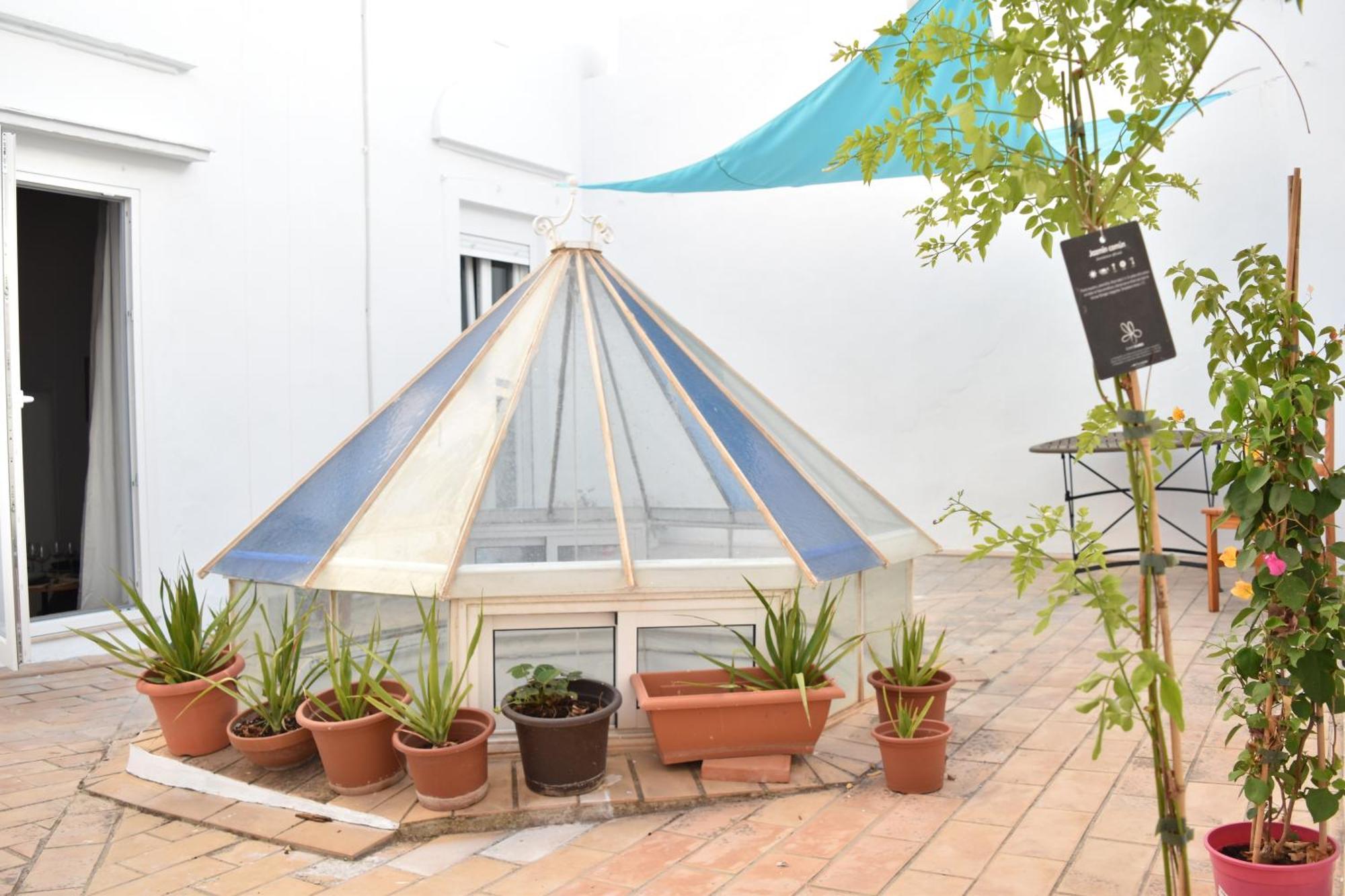 Veedor 12 Apartamento Cádis Exterior foto
